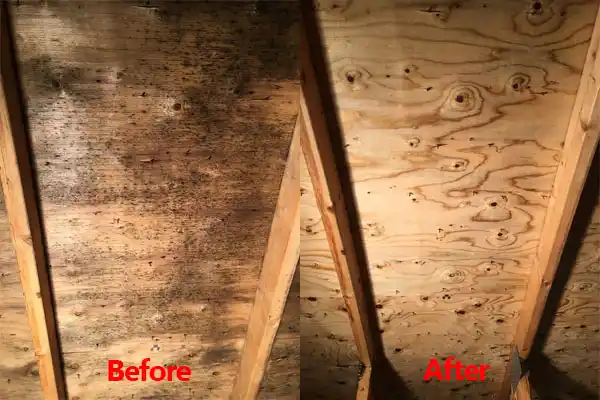 water damage restoration service Clarkson Valley